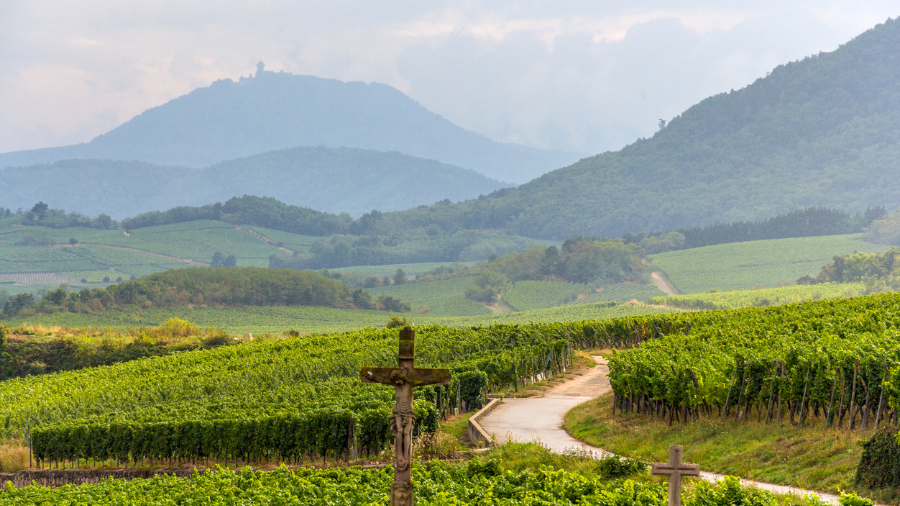 Alsace vacances van aménagé